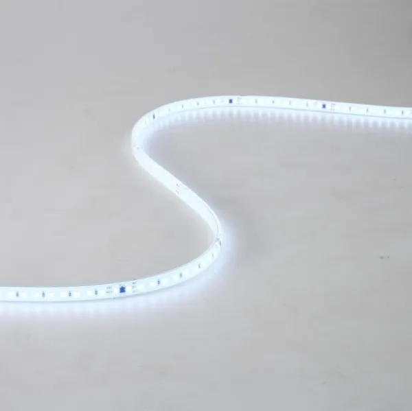 LED STRIP LIGHT SILICONE 220V-2835-110D-10MM