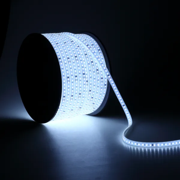 LED STRIP LIGHT SILICONE 220V-2835-110D-10MM