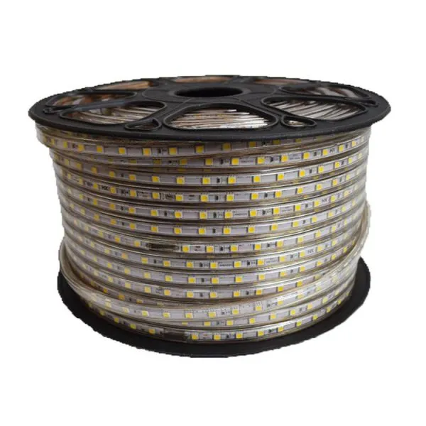 SMD LED STRIP LIGHT 5050-60D-8MM-220V-IP65